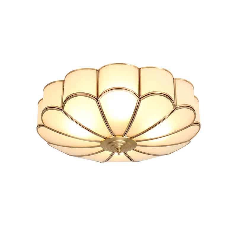 Modern Creative Brass LED Ceiling Light with Remote Control Dimmable Decoration Lighting